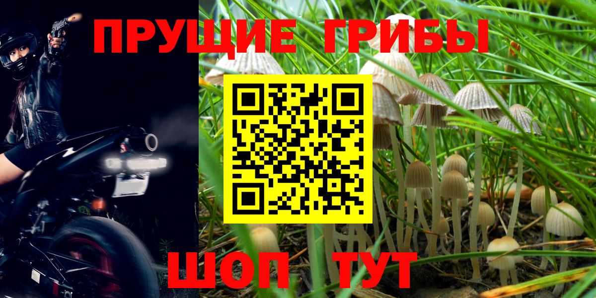 Бугуруслан  Псилоцибиновые грибы GOLDEN TEACHER  Вход с VPN 